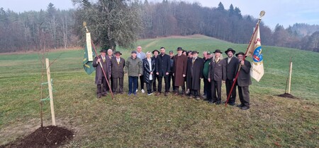 Mirna - posadili so lipe, foto Lapego (6)